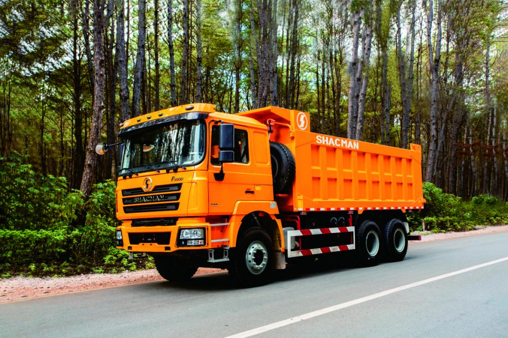 SHACMAN SX3258DR384 - самый востребованный самосвал 6х4 с полной массой 25 тонн 