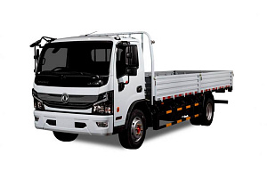 Dongfeng Z80S